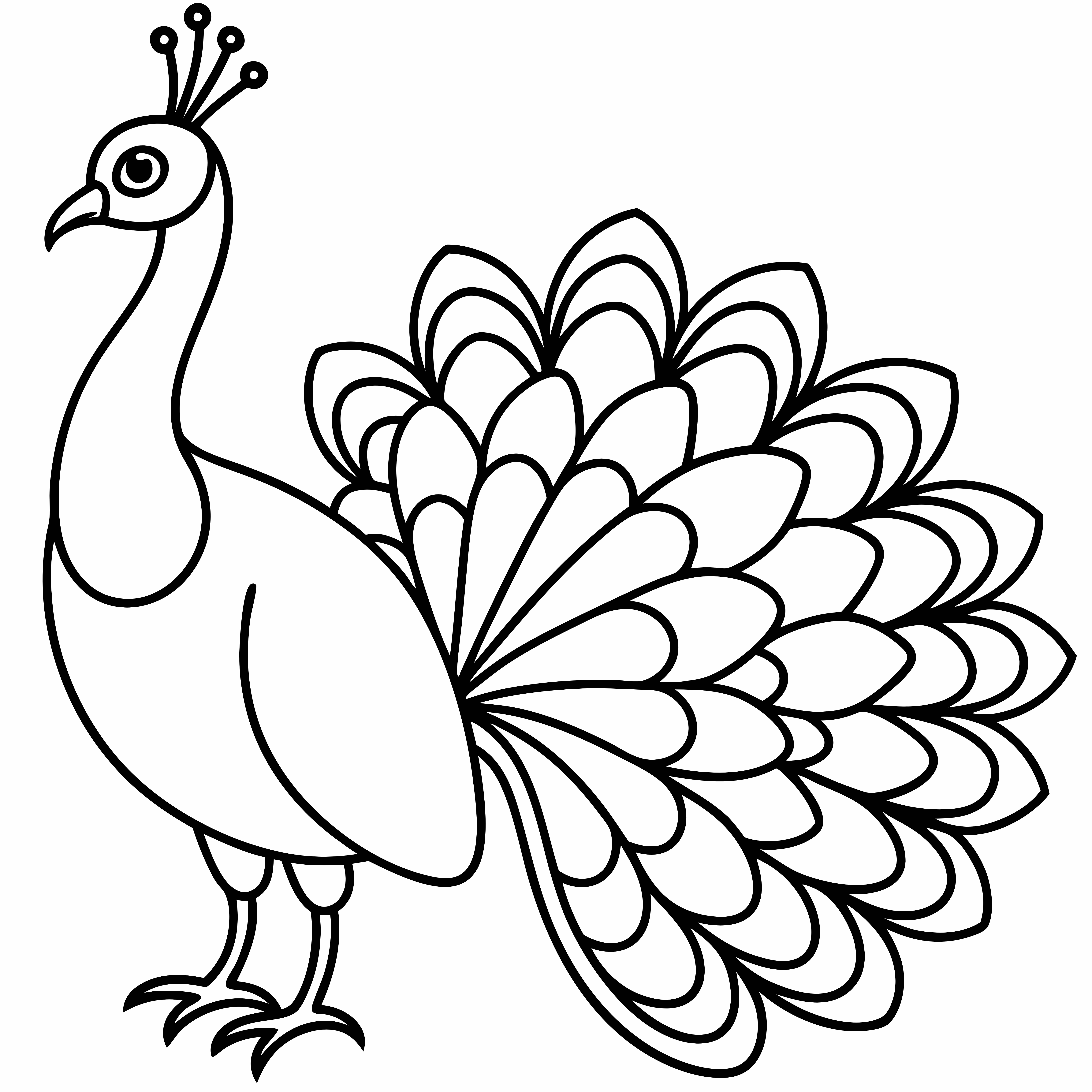 Peacock Coloring Pages, Peacock Coloring Page, Fun Kids Coloring, Free Printable Coloring Pages, Download and Print