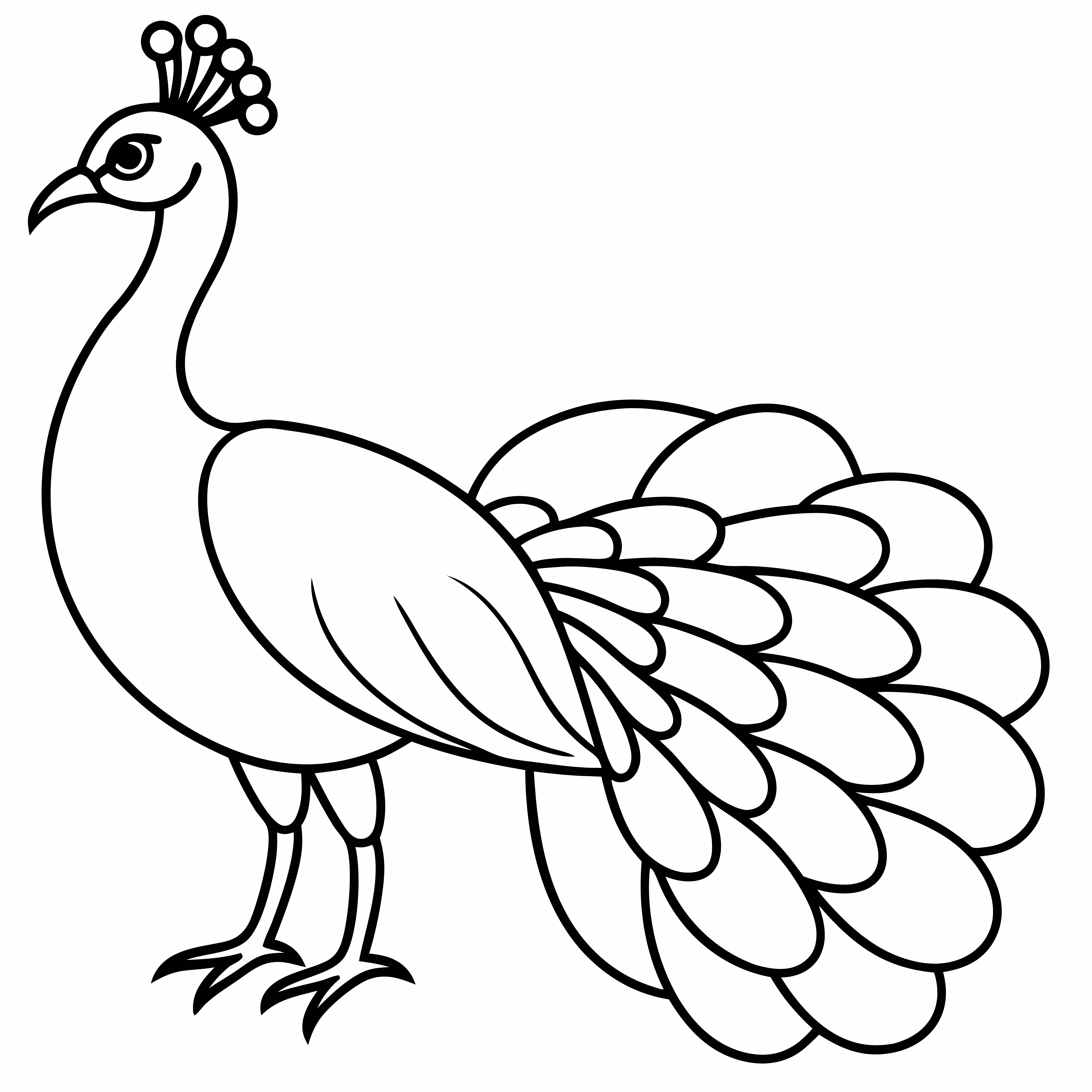 Peacock Coloring Pages, Peacock Coloring Page, Fun Kids Coloring, Free Printable Coloring Pages, Download and Print