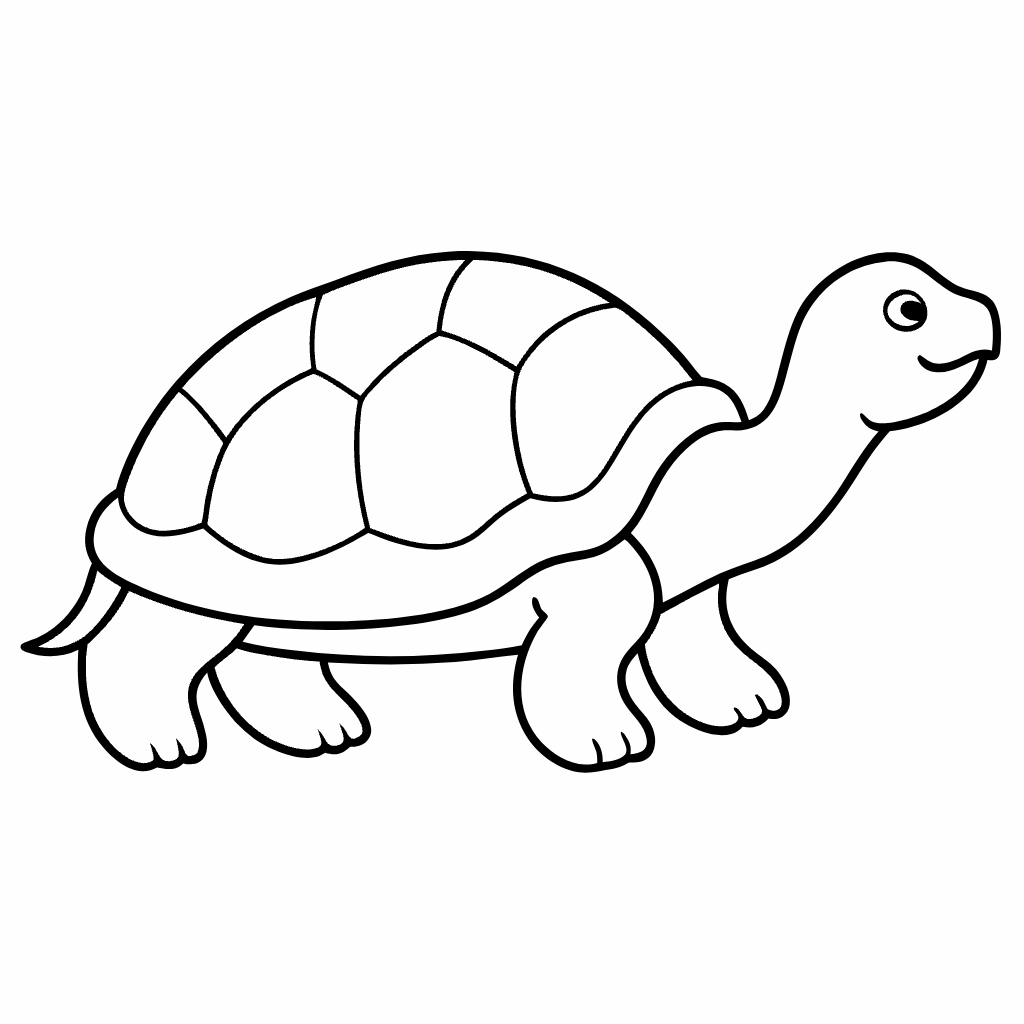 Tortoise Coloring Pages, Tortoise Coloring Page, Fun Kids Coloring, Free Printable Coloring Pages, Download and Print