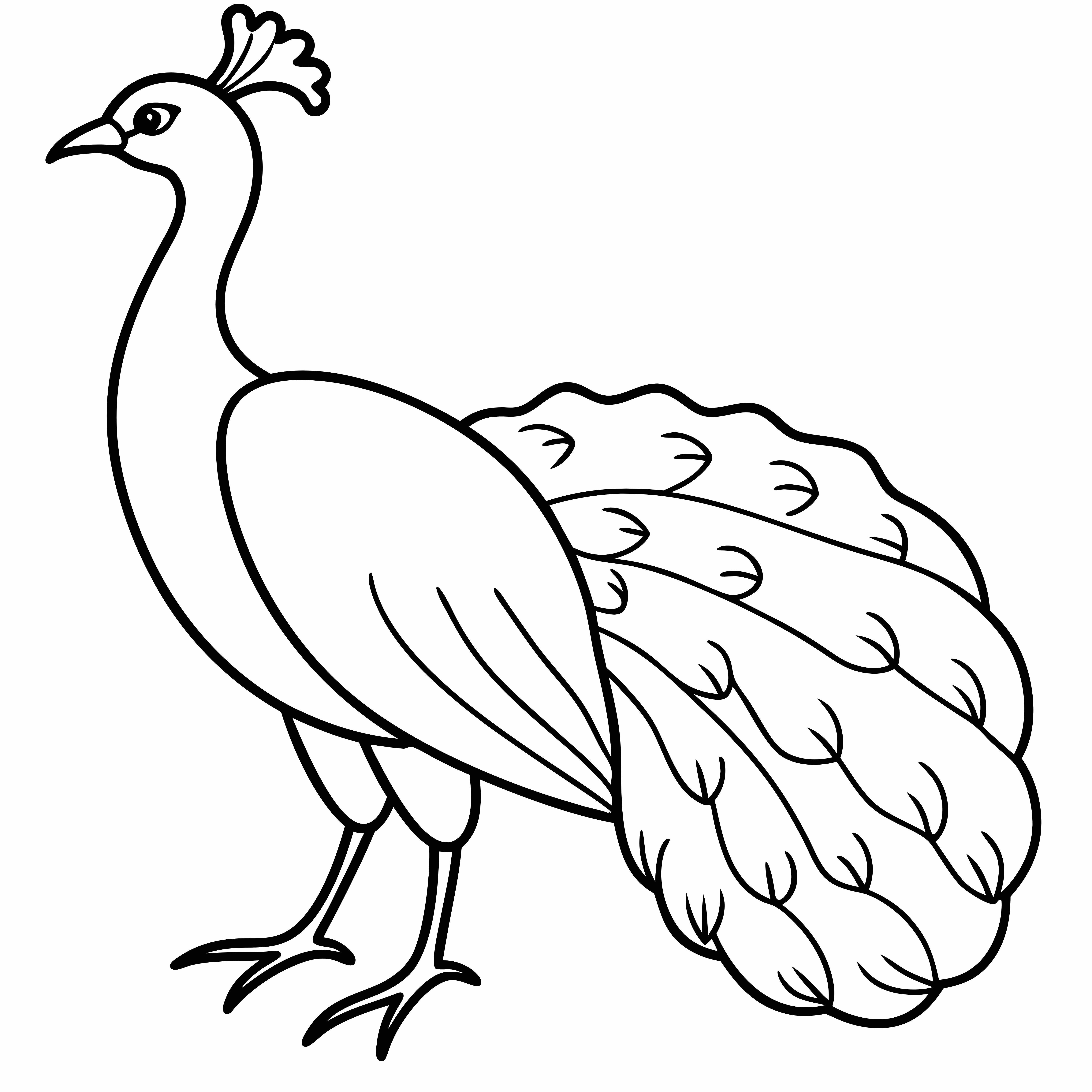 Peacock Coloring Pages, Peacock Coloring Page, Fun Kids Coloring, Free Printable Coloring Pages, Download and Print