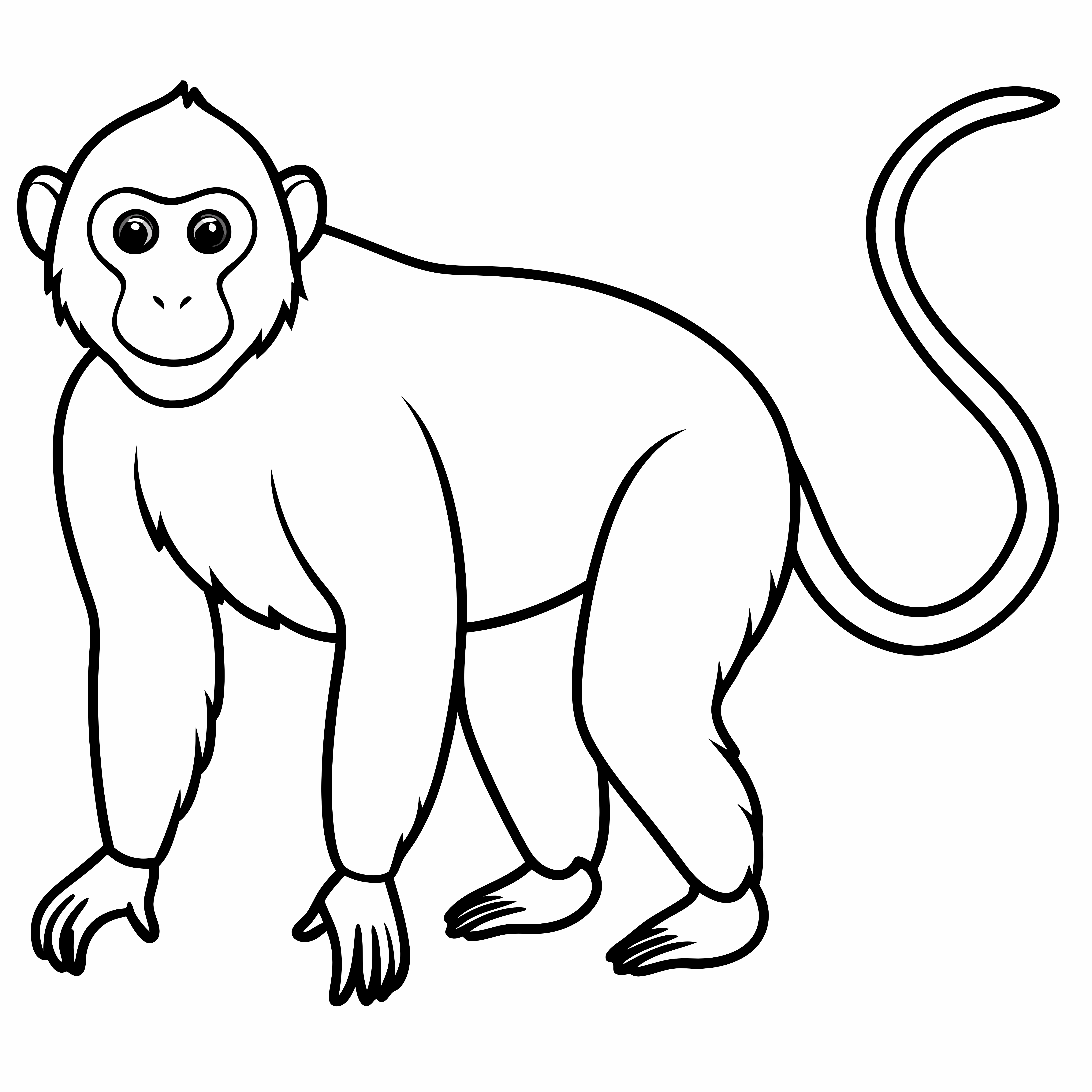 monkey coloring pages,monkey coloring page,zoo,kids coloring,monkey Download and Print Free Coloring Pages, little monkey,animals,my monkey  kids coloring pages 